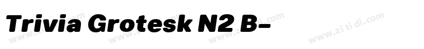 Trivia Grotesk N2 B字体转换